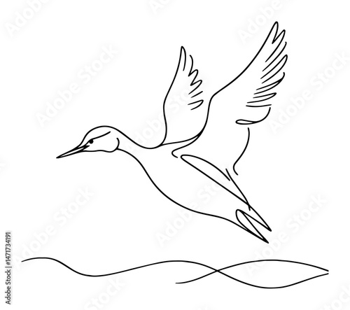 minimalist water bird vector illustration