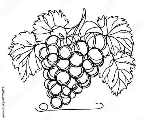grapes with leaves line art vector