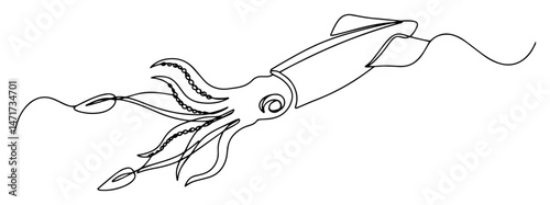 black and white vector of a squid drawn in a single continuous line