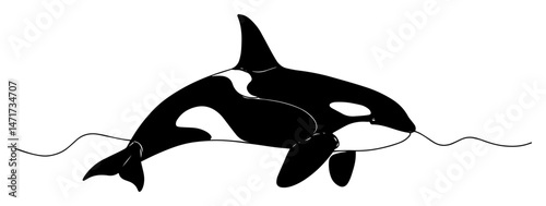 black and white orca whale vector with bold and clean silhouette design