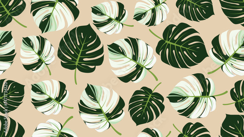 A seamless vector pattern showcasing elegant variegated Monstera leaves in green and white hues on a warm beige background.