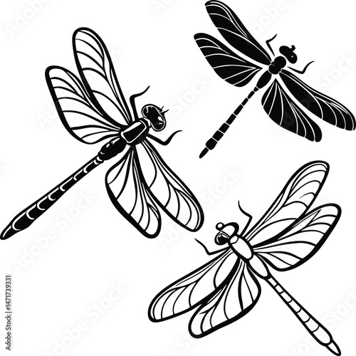 dragonfly vector set ,set of dragonfly