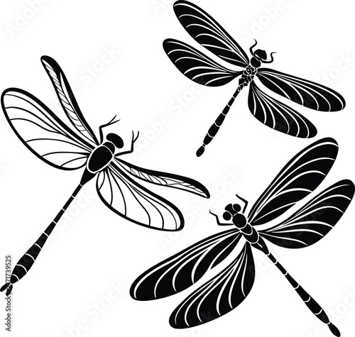 dragonfly vector set, set of dragonfly