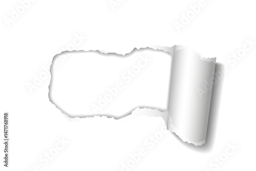 Vector realistic hole torn in paper with rolled edge and shadows on transparent background