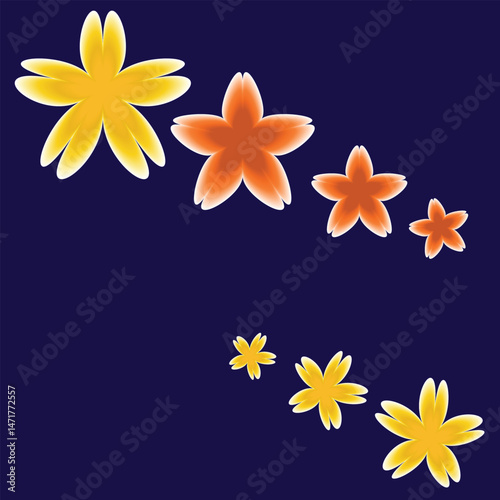frangipani flower on black background
