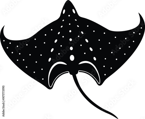 Stingray