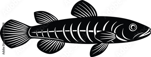 Gobie Fish