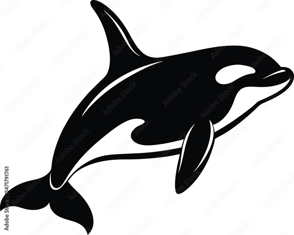 Obraz premium Orca Killer Whale Silhouette