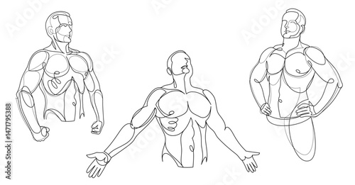 Athletic man torso vector l...