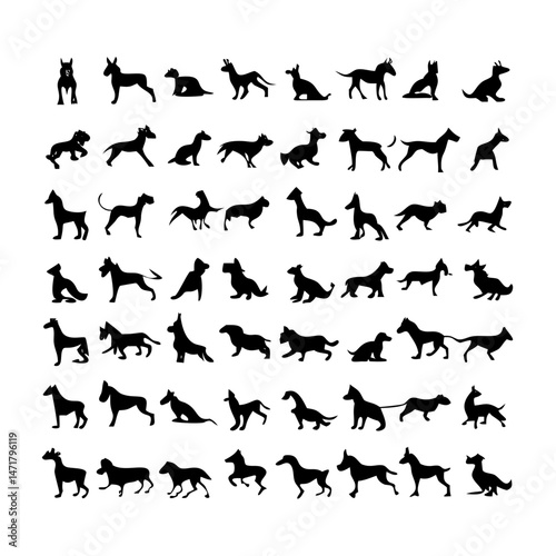 25 Dogs: A Collection of Canine Companions