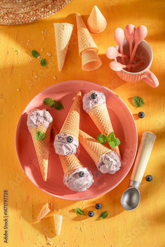 Obraz na płótnie Cold and sweet blueberry ice cream as a summer dessert. w salonie
