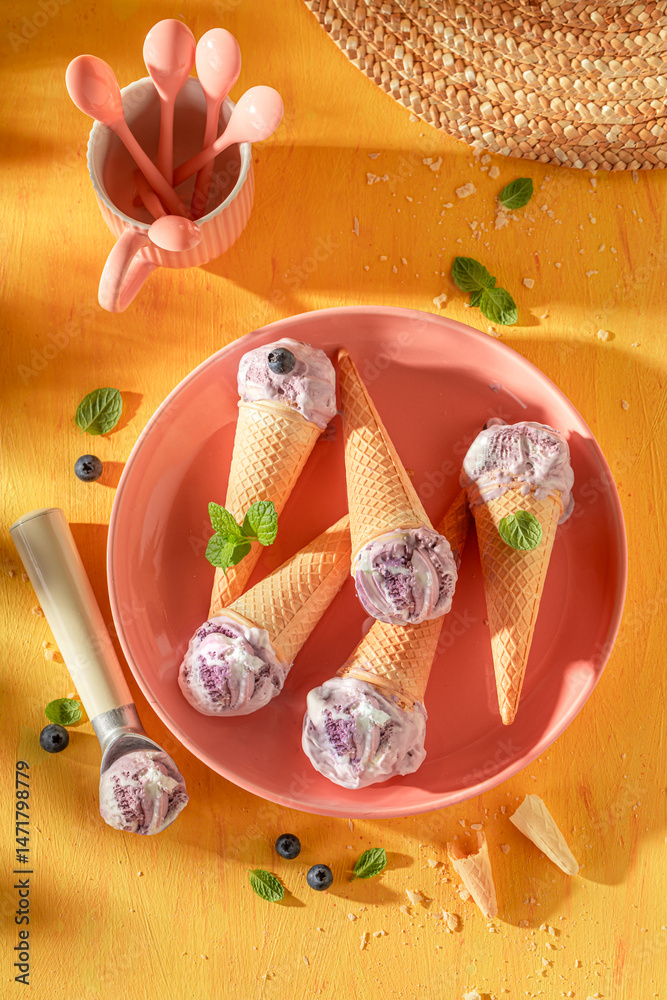 Tasty and fresh blueberry ice cream as a creamy dessert.