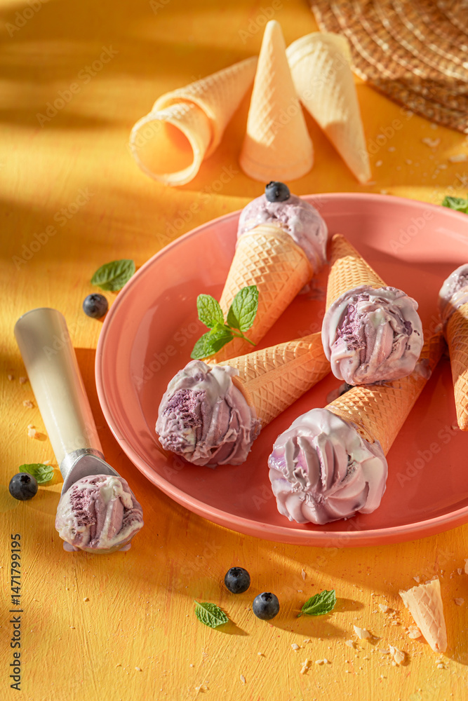 Tasty and fresh blueberry ice cream as a summer dessert.