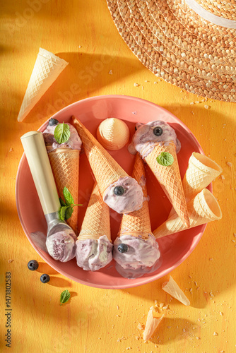Obraz na płótnie Tasty and fresh blueberry ice cream made of blue berries. w salonie