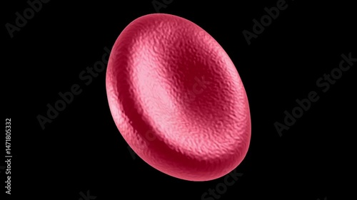 3d rendered illustration of a red blood cells	