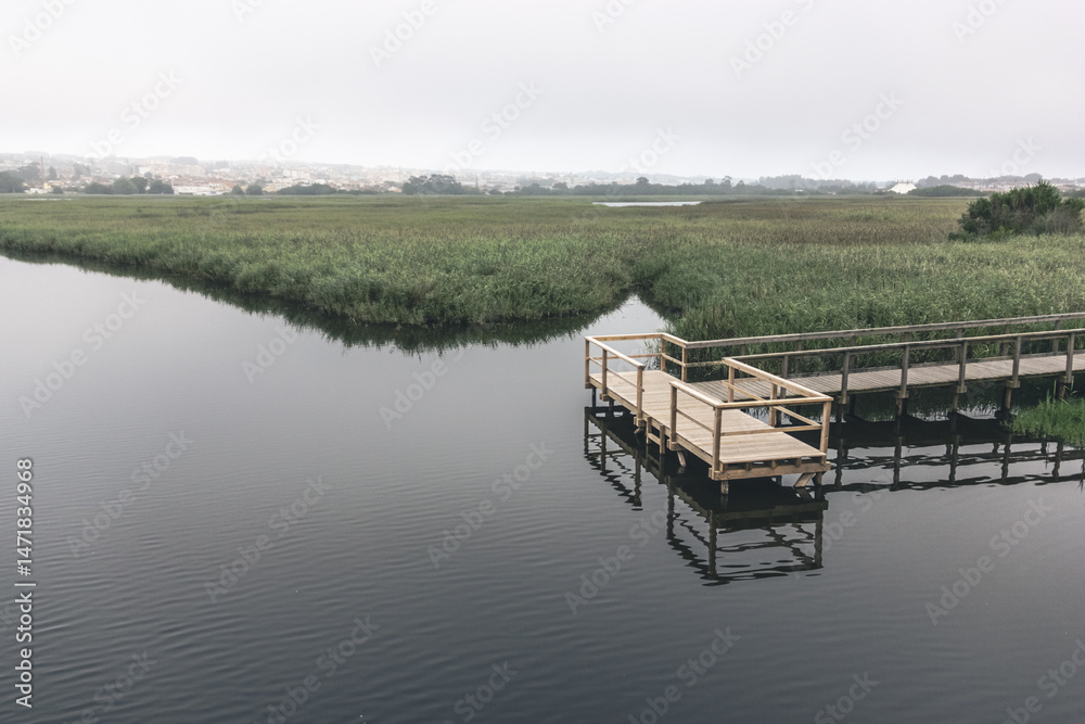 Fototapeta premium Landscape with lake