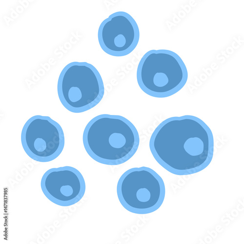 Secreting Cytokines Illustration