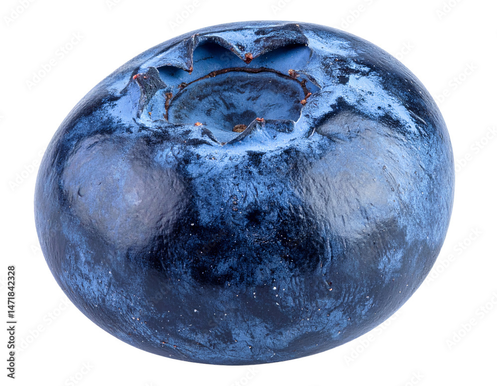 Single Blueberry Isolated Macro Fresh Fruit Food Berry Nutrition Close Up Detail