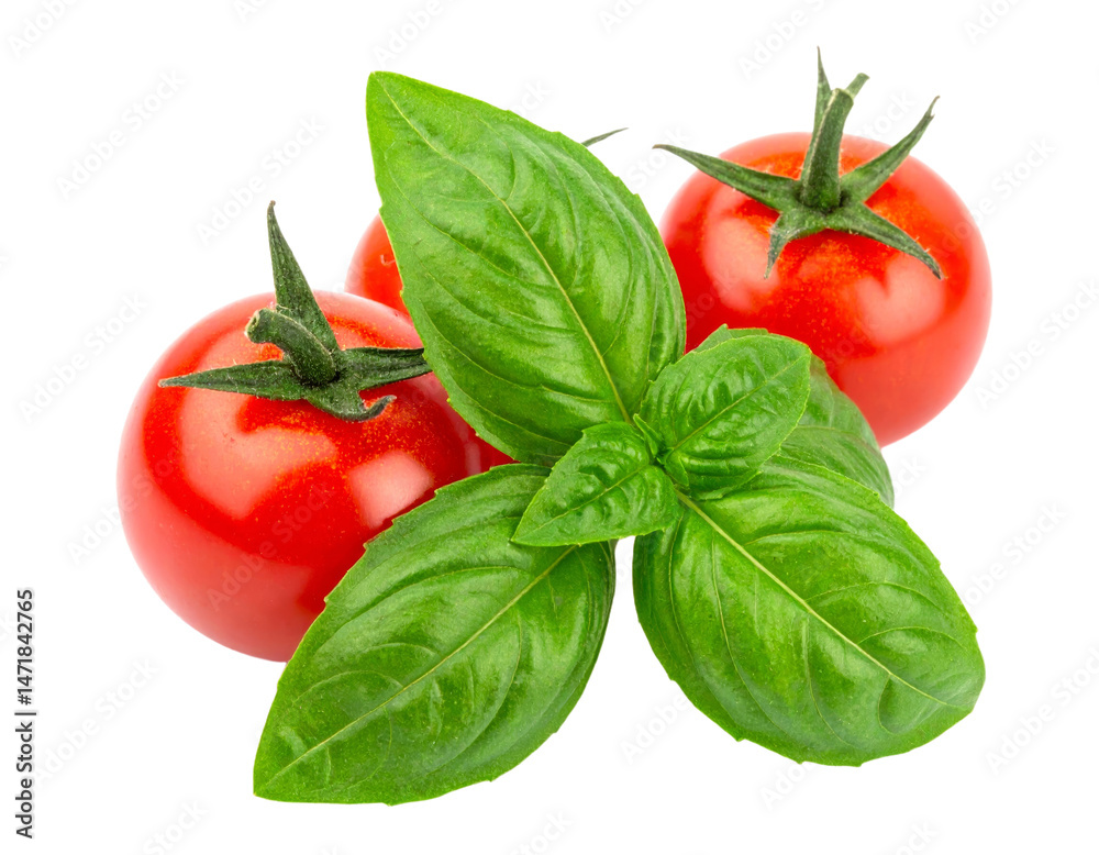 Fresh Basil Leaves and Red Cherry Tomatoes Isolated for Culinary Design Elements