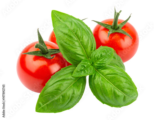 Obraz na płótnie Fresh Basil Leaves and Red Cherry Tomatoes Isolated for Culinary Design Elements w salonie