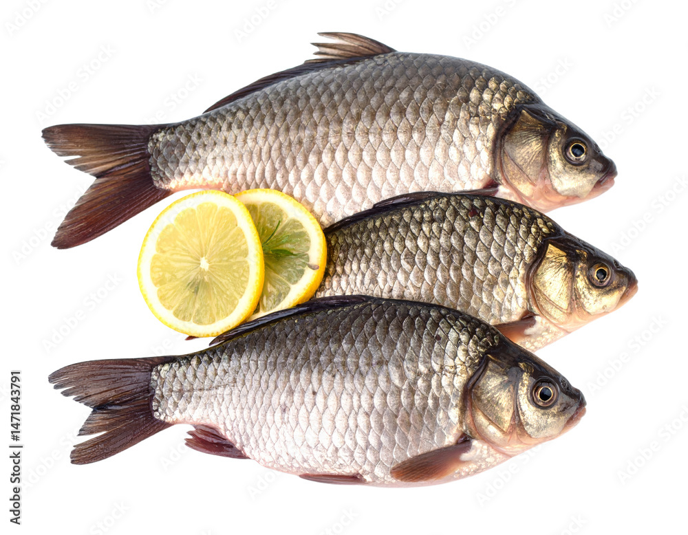 Freshwater Carp Fish with Lemon Slices Isolated on Black Background Food Photography