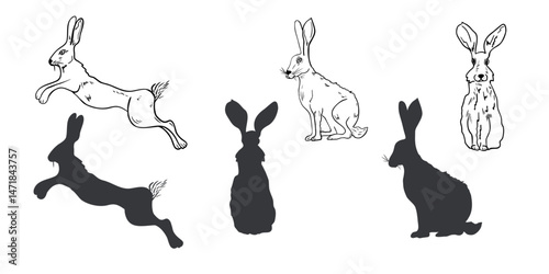 Hare hand drawn black white outline vector set illustration. Forest animal graphic sketch for winter and Christmas design. Rabbit, wild hare silhouette drawing for seasonal packaging, stationery.