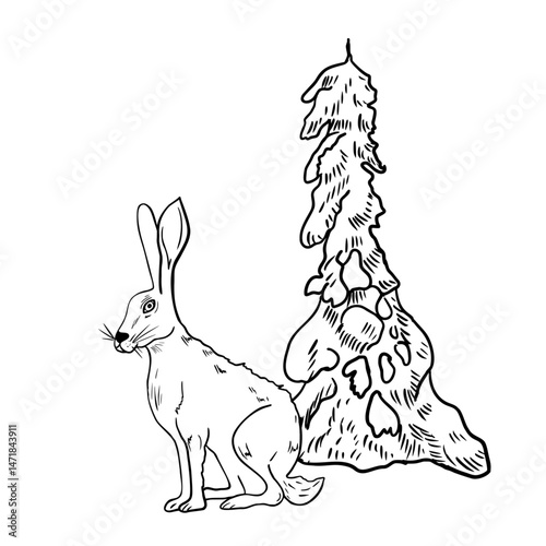 Hare beside snow covered fir tree hand drawn black white outline vector illustration. Simple winter woodland scene monochrome sketch for Christmas cards, nursery decor, and holiday prints.