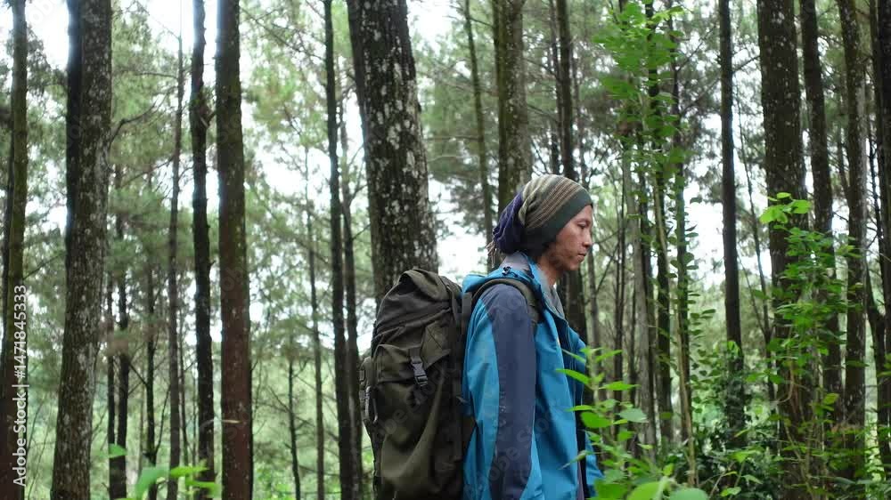 Crab shoot of Man walking among the pine forest trees. Hiking trail walking path in wild green pine forest Crab shoot of Man walking among the pine forest trees. Hiking trail walking path in wild green pine forest