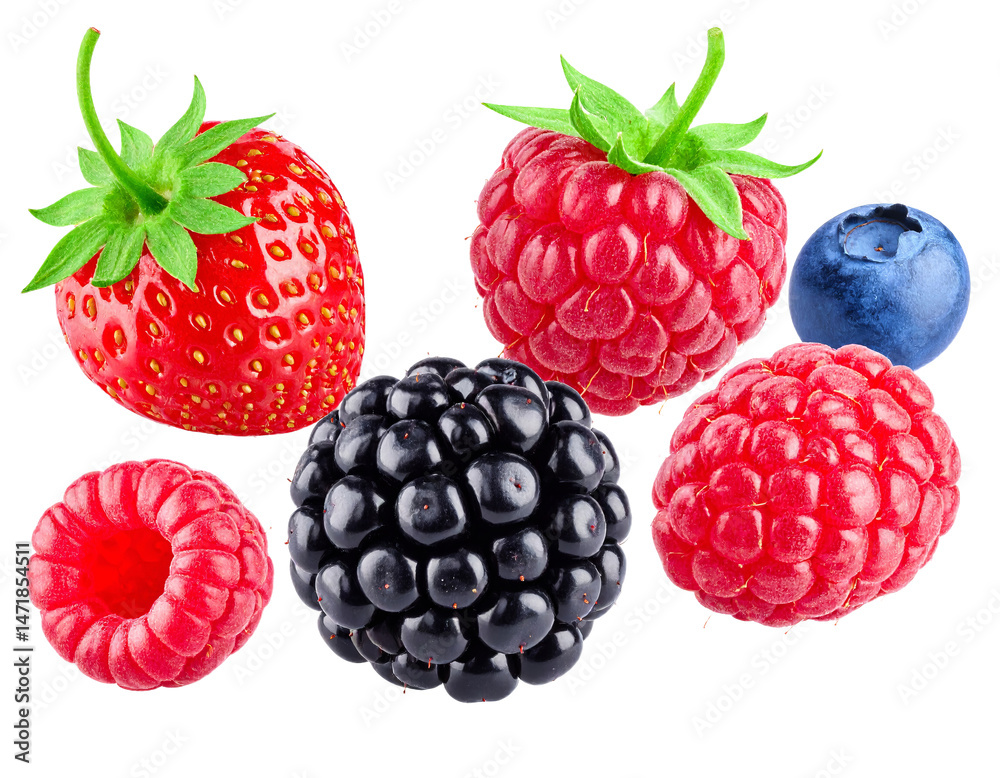 Assorted Berries Isolated Strawberry Raspberry Blueberry and Blackberry Fresh Fruit Mix