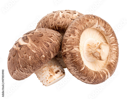 Shiitake Mushrooms Isolated Gourmet Fungi Culinary Ingredient Close Up Macro Food Element