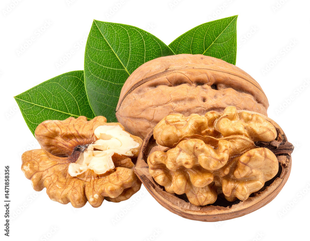Walnut Isolated with Leaves Healthy Food Ingredient on Transparent Background