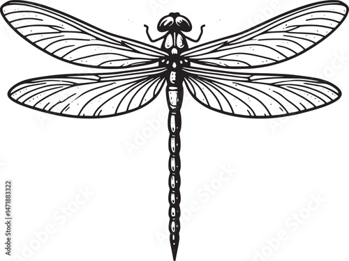 dragon fly line art illustration premium quality
