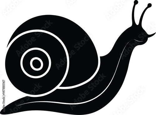 illustration of a snail