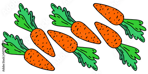 Vector color banner with carrots on a white isolated background
