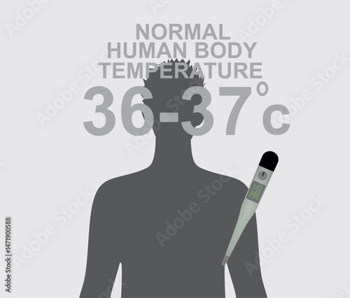 Normal body temperature icon. vector