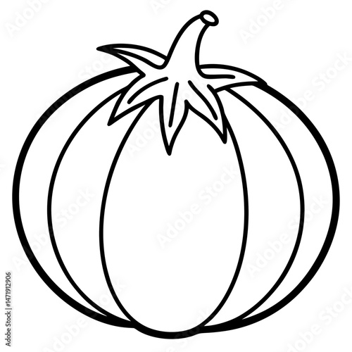 Tomatillo out line vector
