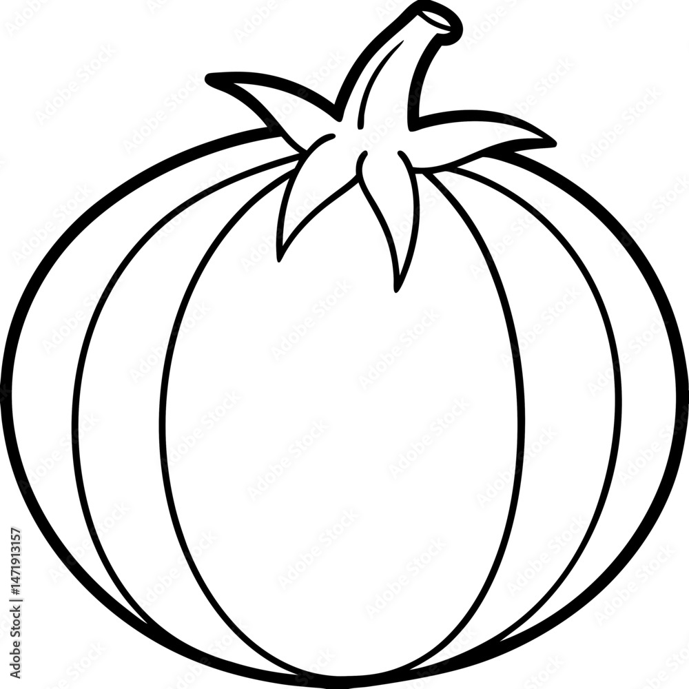 Tomatillo out line vector Tomatillo out line vector