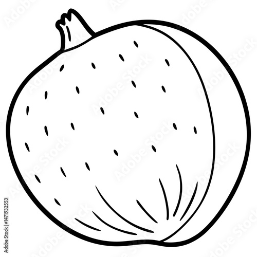 Minimalist Jicama Line Art Vector