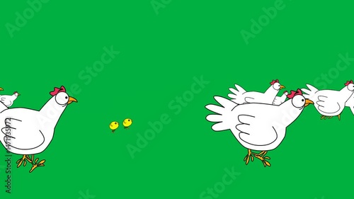 Animated cartoon chickens walking on green screen, perfect for chroma key, explainer videos, educational animations, and creative stock video projects.