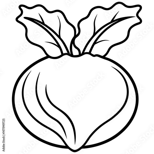 Minimalist Kohlrabi Line Art Vector