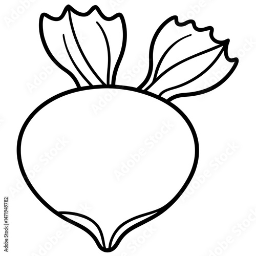 Minimalist Kohlrabi Line Art Vector
