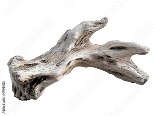 Polished driftwood branch
