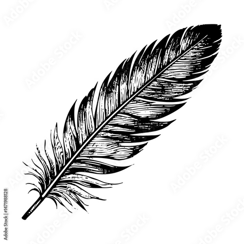 feather sketch engraving black and white outline. Scratch board imitation.  illustrated in vintage line art style on a white background.