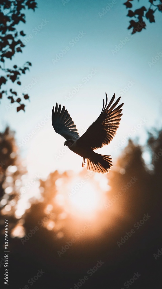 Fototapeta premium Majestic soaring hawk silhouette against radiant sunset amidst forest foliage