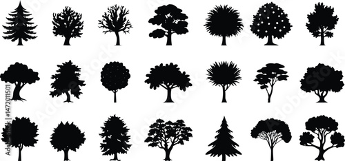 Various deciduous tree silhouettes on white background. vector set. PNG on white background