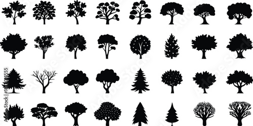 Various deciduous tree silhouettes on white background. vector set. PNG on white background