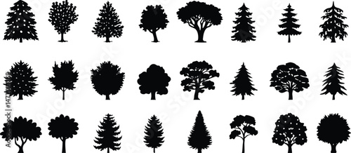 Various deciduous tree silhouettes on white background. vector set. PNG on white background