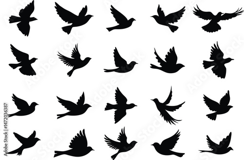 Collection of flying birds on white background. vector set. PNG white background
