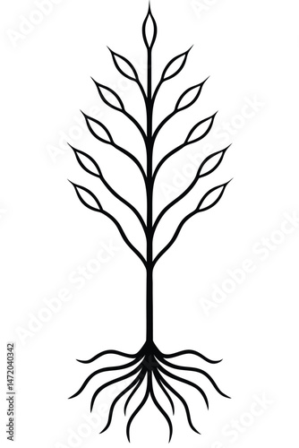 Botanical Root Structure on White Background