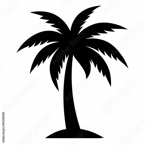 palm tree silhouette